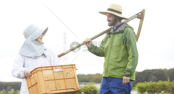 外国人体验农业种植图片