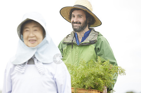 外国人体验农业种植图片