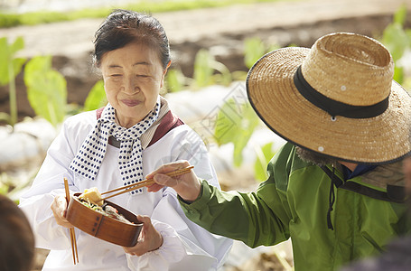 外国人体验农业种植图片