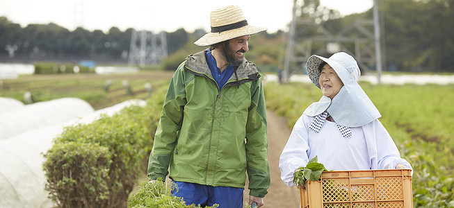 外国人体验种植生活图片