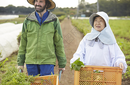 外国人体验种植生活图片