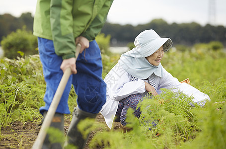 外国人体验种植生活图片