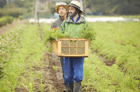 外国人体验农业种植生活图片