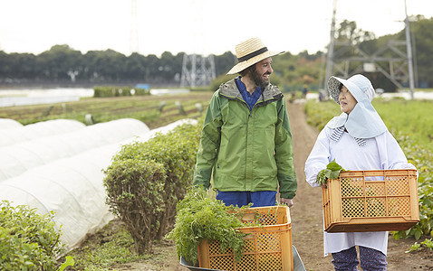 外国人体验农业种植生活图片