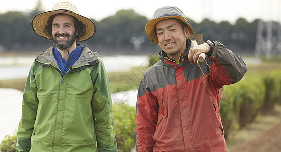 外国人在农作物研究种植图片