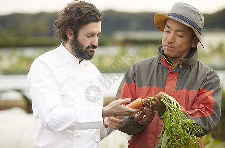 外国人体验农业种植生活图片