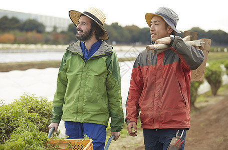 外国人体验农业种植生活图片