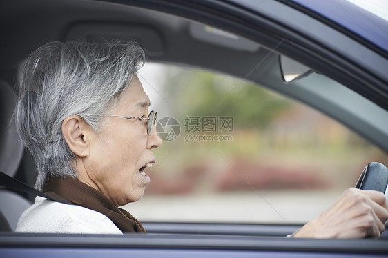 亚洲老年的侧脸高级司机意外图片