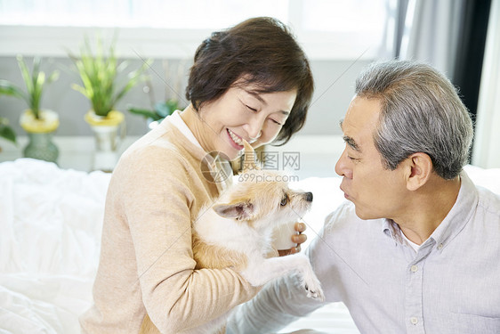 老年夫妻抱着可爱的狗狗图片