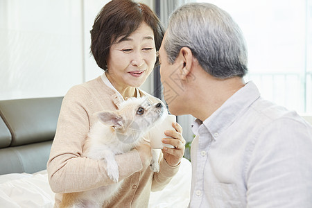 抱着宠物狗的老年夫妻图片