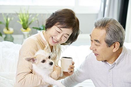 居家老年夫妇与宠物图片