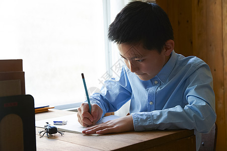 观察甲虫的小男孩图片