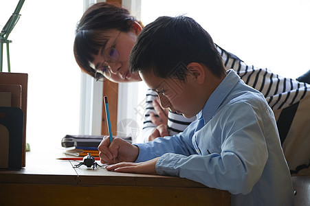 观察甲虫的小男孩图片