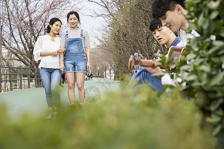 树学校成人生活音乐20多岁青春图片