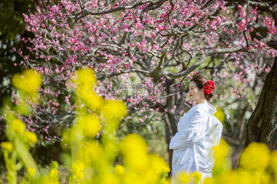 梅花树下穿和服的日本女性图片