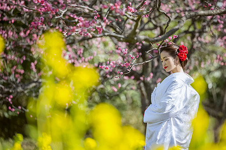 穿和服的日本女性站在梅花树下图片