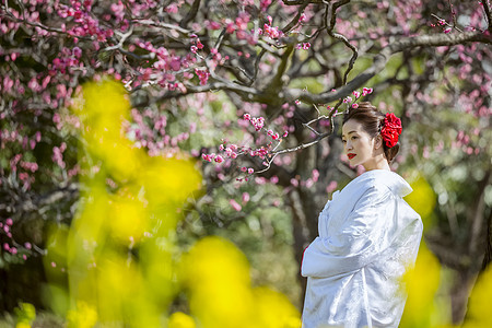 穿和服的日本女性站在梅花树下图片
