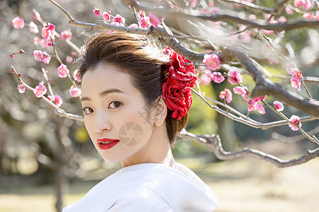 梅花树下的日本新娘图片