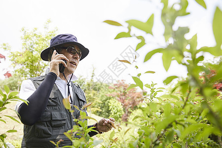 树枝快乐植物生活手机男人图片