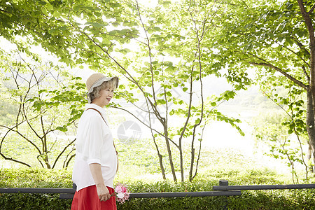 树成年女子表示生活女人老人韩国人图片