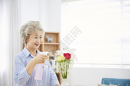 盯着看植物存储生活女人老人韩国人图片