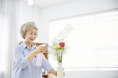 老人等待盯着看gypsophila举起生活女人老人韩国人背景