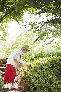 户外的身前花生活女人老人韩国人图片
