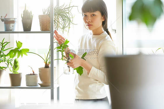 家庭主妇在家修剪植物图片