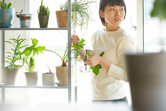 家庭主妇在家修剪植物图片