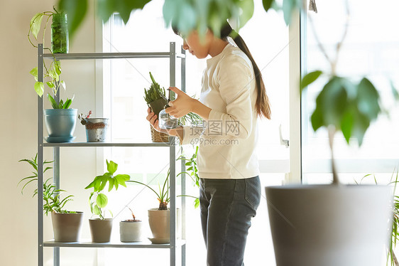 居家女性整理花卉图片