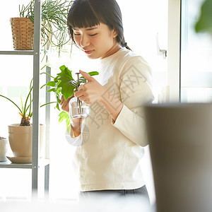 居家女性整理花卉图片