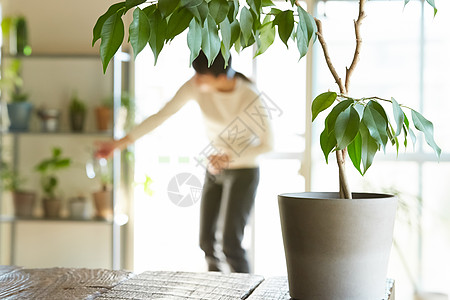 居家女性整理花卉图片