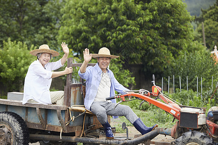 老年夫妇驾乘拖拉机下农田图片