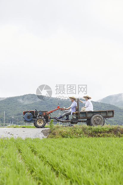 老年夫妇驾乘拖拉机下农田图片