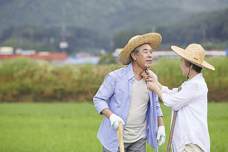 老年夫妇下农田干农活图片