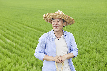 老人下农田干农活图片