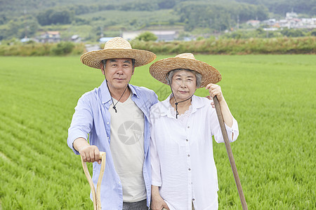老年夫妇下农田干农活图片