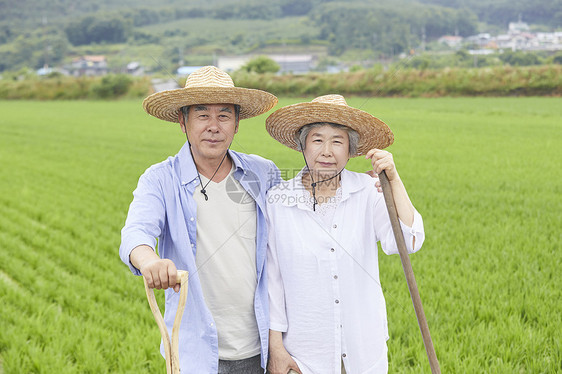 老年夫妇下农田干农活图片