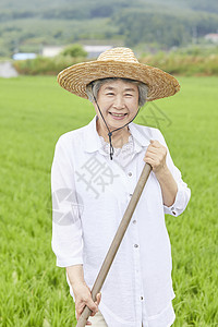 老妇人下农田干农活图片