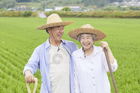 老年夫妇下农田干农活图片