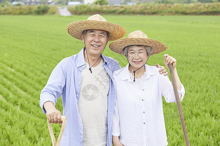 老年夫妇下农田干农活图片