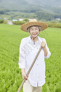 老妇人下农田干农活图片