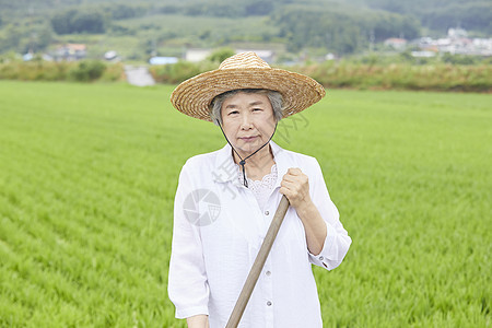 老妇人下农田干农活图片