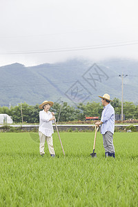 老年夫妻一起种植农作物图片