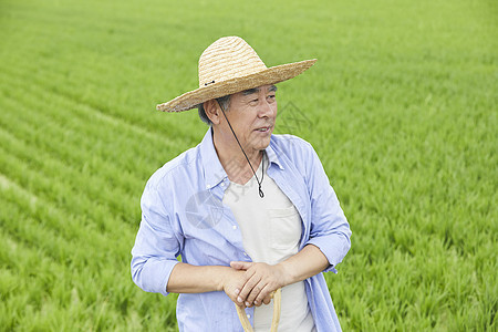 老年夫妻一起种植农作物图片