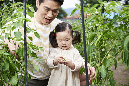 在花园种植蔬菜的家庭图片