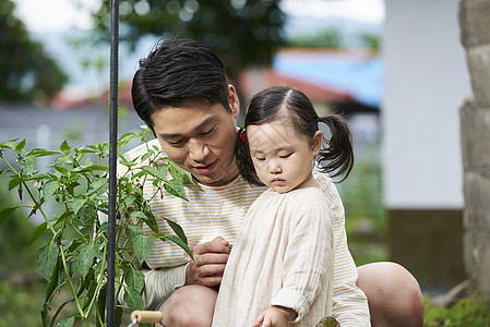 一家人户外采摘蔬菜图片