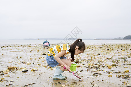 在海边捡石子的小孩图片