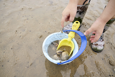 在海边捡贝壳的小孩图片素材