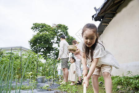 种植盆栽的小女孩图片
